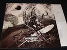 DAVID SYLVIAN - Secrets of the Beehive - LP ITALY NMINT