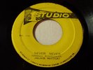Rare/ jackie Mittoo - Never Never /Reggae 45