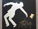 Dj Shadow Signed The Mountain Has Fallen Vinyl Record EP Autograph Mass Appeal
