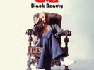 Love-Black Beauty  VINYL NEW