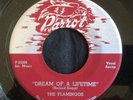 Flamingos, Dream Of A Lifetime & On My Merry Way on Parrot 808, A Classic doowop