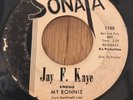 JAY F KAYE r&b soul 45 My Bonnie / Rockin' Robin   Sonata