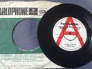THE FALLING LEAVES - SHE LOVES TO BE LOVED -UK 1965 DEMO PROMO/ MOD / FREAKBEAT