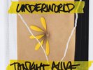 TONIGHT ALIVE - UNDERWORLD (LIMITED TRANSPARENT GOLD VINYL)   VINYL LP NEW