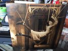 Porcupine Tree ?– Signify- RARLP008 Kscope805 Experimental, Prog Rock UK NM