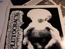 PLUTOCRACY dankstanz LP 1st press no less spazz infest no comment slap a ham