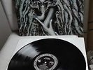 DANZIG   original Vinyl LP   How The Gods Kill (1992)