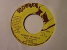 EDUBE Free Mandella MOTHER Digi Roots Reggae 7” HEAR B45