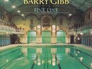 Barry Gibb Fine Line (Extended Dance Version) Us 12