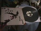 Pig Lib by Stephen Malkmus & the Jicks/Stephen Malkmus (Vinyl, Mar-2003, Matador