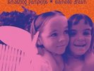 Siamese Dream by The Smashing Pumpkins (Vinyl, Nov-2011, 2 Discs, Virgin)