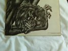 COMUS: FIRST UTTERANCE, VERY RARE ORIGINAL ALBUM