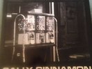 The Stone Roses Vinyl 12' Sally Cinnamon 1987