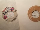 Johnny Rebel WHITE KINGDOM 7