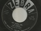 DOOWOP - CATALINAS-- HEY LITTLE GIRL -  -HEAR BOTH -1961 ZEBRA