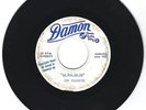 THE BLUEBOYS (BLUE THINGS) -1965-DAMON DEMO RECORD-ONLY 5 MADE-PLUS EXTRAS-RARE