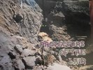 Griffin - Protectors of the Lair - Vinyl, LP, US-Metal-Klassiker, TOP