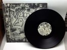 Welcome To Venice Punk Thrash Hardcore Suicidal Tendencies Vinyl LP Beowulf VG+