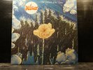 Pulsar - The Strands of the Future
