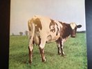 PINK FLOYD ATOM HEART MOTHER - No EMI Logo SHVL 781  *STUNNING* NEAR MINT