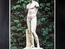 FOXX, JOHN - ULTRAVOX - 1981 - Promoplakat - The Garden - Tourposter