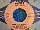 THE REASONS WHY 45RPM  SAME OLD WORRIES / I DON'T CARE IF YOU DON'T CARE