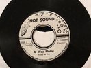 PADDY & PAT A Way Home ALL STARS African Safari HOT SOUND JA VINYL SINGLE EX