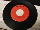 DRAKE and THE EN-SOLIDS Please Leave Me NORTHERN SOUL 45 on ALTEEN