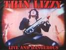 THIN LIZZY FLAGGE / FAHNE 