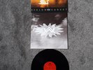VAN MORRISON AVALON SUNSET ORIGINAL VINYL LP
