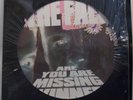 THE FALL Are You Are Missing Winner - Original UK Picture Disc LP - Mark E Smith