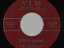 Blues R&B 45 - Bobby Van Hook & The Night Owls - Down In Alabama - VLM - mp3