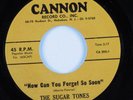 Doo Wop R&B 45 SUGAR TONES How Can You Forget So Soon CANNON VG+ HEAR