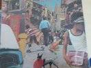 Madonna rare lp 12 inch vinyl everybody canada