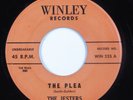 Doo Wop R&B 45 JESTERS The Plea WINLEY HEAR
