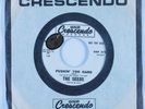 Garage Mod 45 SEEDS Pushin' Too Hard GNP CRESCENDO VG+ promo HEAR