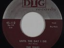 Doo-Wop 45 - Tears - Until The Day I Die - Dig - mp3