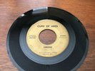 RARE 45 7” Cure Of Ares Sunshine/twenty Years Ago Mn Garage Rock CPO-106 VG