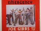 Joe Gibbs and the Professionals 