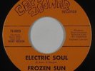 Psych Fuzz Funk 45 - Frozen Sun - Electric Soul - Capt. Zoomar - VG++ mp3 rare