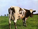 MASTER TAPE  PINK FLOYD Atom Heart Mother 1 St Gen Reel To Reel 15 IPS