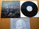 LP/ Suffocation ?- Effigy Of The Forgotten - 1st Press R/C Records NL '91 Rare