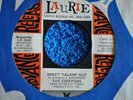 THE CHIFFONS PROMO 45RPM SWEET TALKIN' GUY / DID YOU EVER GO STEADY