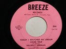 45 RPM Hillbilly Herman BREEZE Today I Watched My Dream BOPPER  VG++