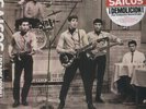 Los Saicos - Demolicion (Vinyl Used Like New)