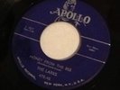 The Larks No Mama No Honey From The Bee Apollo Records Rare Doo Wop 45 Vocal 50'