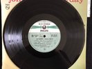 JOHNNY-HALLYDAY. RARISSIME 25cm ORIGINAL BIEM  