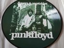 Pink Floyd Flowers & Vegetables Picture Disc LP *VERY RARE* *STUNNING*