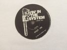 Afrikan Star ?– Livin' In The System / Run & Hide 1980 ROOTS REGGAE SINGLE.