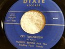 RARE OBSCURE BLUEGRASS COUNTRY 45 HUGHEY BUNCH SOUTH WIND/CRY TOMORROW DIXIE